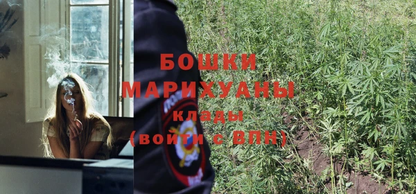 бошки Арсеньев