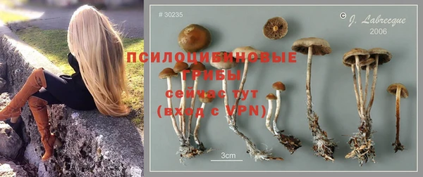 марки nbome Армянск