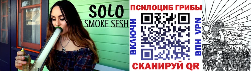 Галлюциногенные грибы Psilocybine cubensis  маркетплейс формула  Сунжа  mega ссылка 